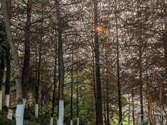 -金海湾滨江公园