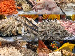 -苏格里岛自助海鲜烤肉(青秀万达店)