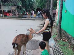 -清迈夜间动物园