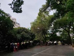 -白沙古井