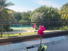 -三亚湾海居铂尔曼度假酒店