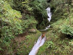 -牛背梁国家森林公园