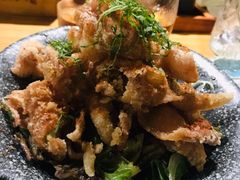 柚子醋鸡皮-半藏居酒屋(香港花园店)