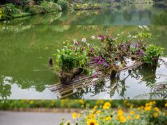 -深圳仙湖植物园