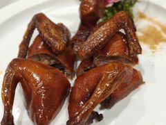 -大鸽饭(岗顶店)