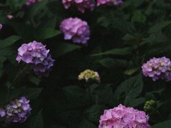 -常州古运河南大街文化旅游区-人民公园