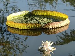 -国家植物园南园