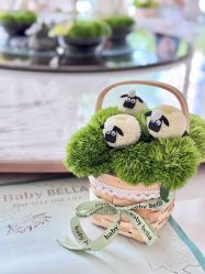 -baby bella小贝拉母婴护理中心(杭州凯宾斯基酒店)