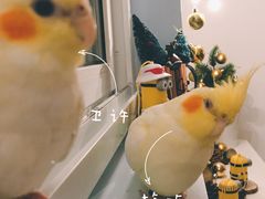 -雨林宠物医院 非犬猫异宠专科