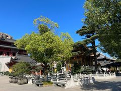 -上海东林寺(金山区)
