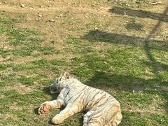 -无锡动物园·太湖欢乐园