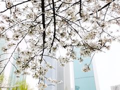 -西北湖绿化广场