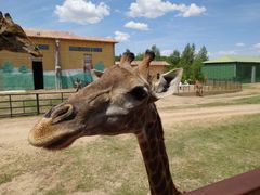 -鄂尔多斯野生动物园