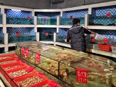 水产区-船奇蒸汽海鲜·闽菜(八市海鲜总店)