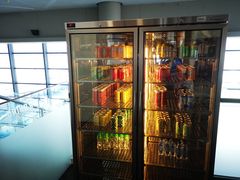 -虹桥机场国航贵宾室v8