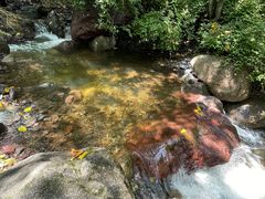 -云岫谷游猎自然风景区