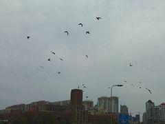 -大连人民广场