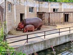 -合肥野生动物园