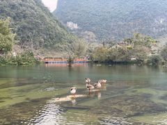 -靖西鹅泉风景区