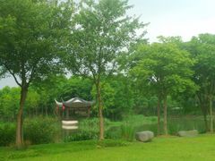 -尚贤河湿地
