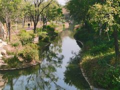 -北坞公园
