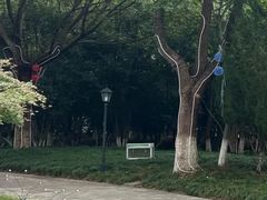 -东湖景区
