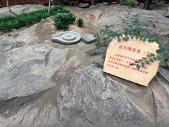 -中国第四纪冰川遗迹陈列馆