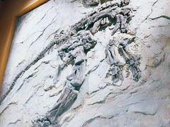 -辽宁古生物博物馆