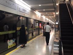 -桃浦新村(地铁站)