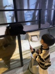 -酷嗒动物文化乐园(cutezoo西溪乐天城店)