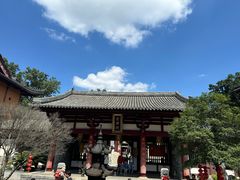 -灵谷景区