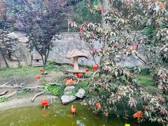 -上海野生动物园