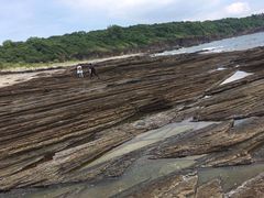 -东平洲海岸公园
