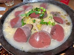 -鸽子窝(青塔店)