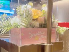 -海底捞火锅(吾悦广场店)