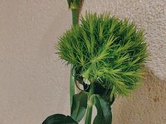 -同福龙虾(高新店)