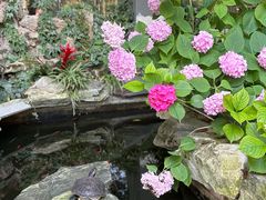 -谷咖啡·鲜花绿植花园餐厅
