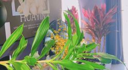 -花隐·美芙炫海菲秀皮肤管理中心