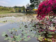 -中国科学院西双版纳热带植物园
