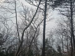 -无锡动物园·太湖欢乐园