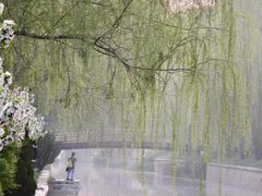 -海棠花溪(元大都城垣遗址公园)