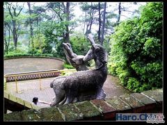 -白云山风景名胜区