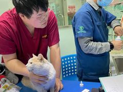 -瑞派申生动物医院·24H夜诊·国际动物医疗中心·骨外科(吴中路店)