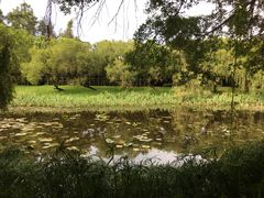 -南沙蒲洲花园