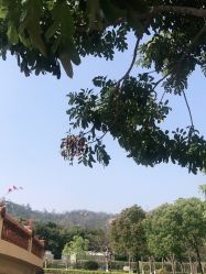 点击看大图 -帝元维多利亚大酒店·宴会厅