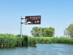 -白洋淀景区