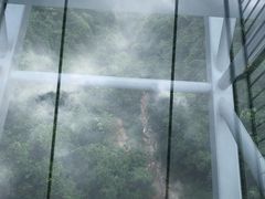 -呀诺达热带雨林