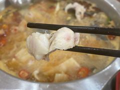 弓鱼-大理.老字号渝记酸萝卜乌鱼(古城总店)