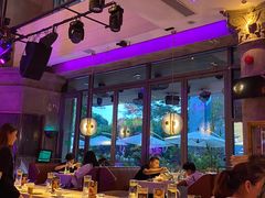 -蝴蝶梦音乐餐厅(欢乐海岸店)
