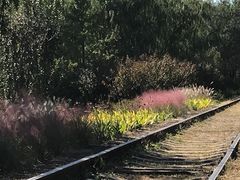 -永定河休闲森林公园